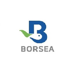 Logo borsea1
